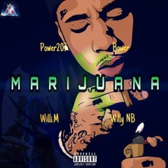 Power 207 x Bower x Willi M x Willy NB - Marijuana