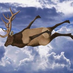 un aviateur,un cerf,un crash...
