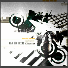Fly By Wire - Alkaline 3DH (1993)