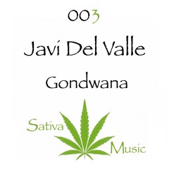 Javi Del Valle - Gondwana