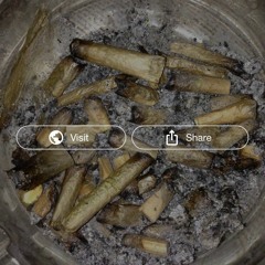 Last Week's Roaches prod. Triple-A