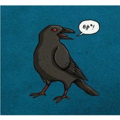 Talking Raven(Original Mix)