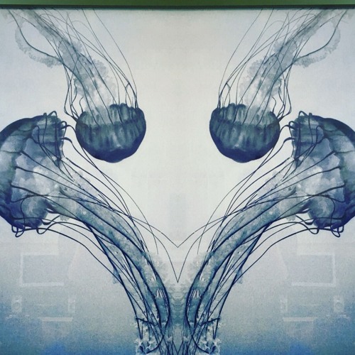 Matt Walsh - Summer 2018