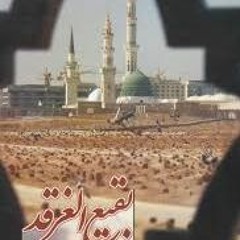 فاطميات _ من مثلها سادة كل السيدات