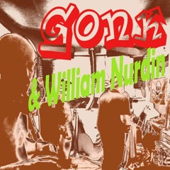 Gonk & William Nurdin - Live extract