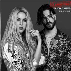 CLANDESTINO [Remix] - Maluma x Shakira x Dani Cejas