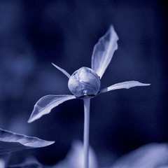 Hui Gui EP Preview by Unjin (KZN002)