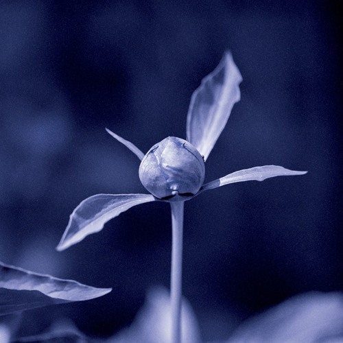 Hui Gui EP Preview by Unjin (KZN002)