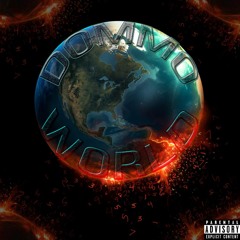 Dommo X Twin ( GoPro )