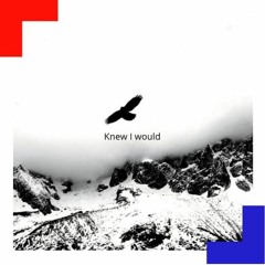 Knew I Would (prod. by Murda Beatz)