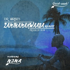 Zaminamakwaaba REMIX  Dr. Marbles & N3NA