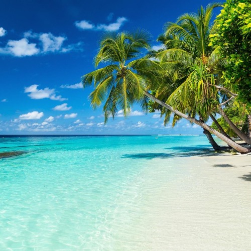 Tropical beach destination