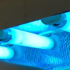 DBLE XUP-(SLYtae) [PROD.Mackavelie]