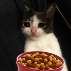 Sad Nigga Hours Reese's Puffs