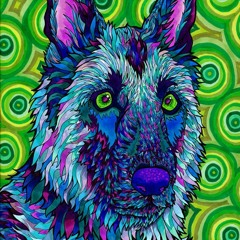 Glide (Mike Zara x Dr. Squeakers)