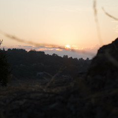 This contains a chemical known to the state of california