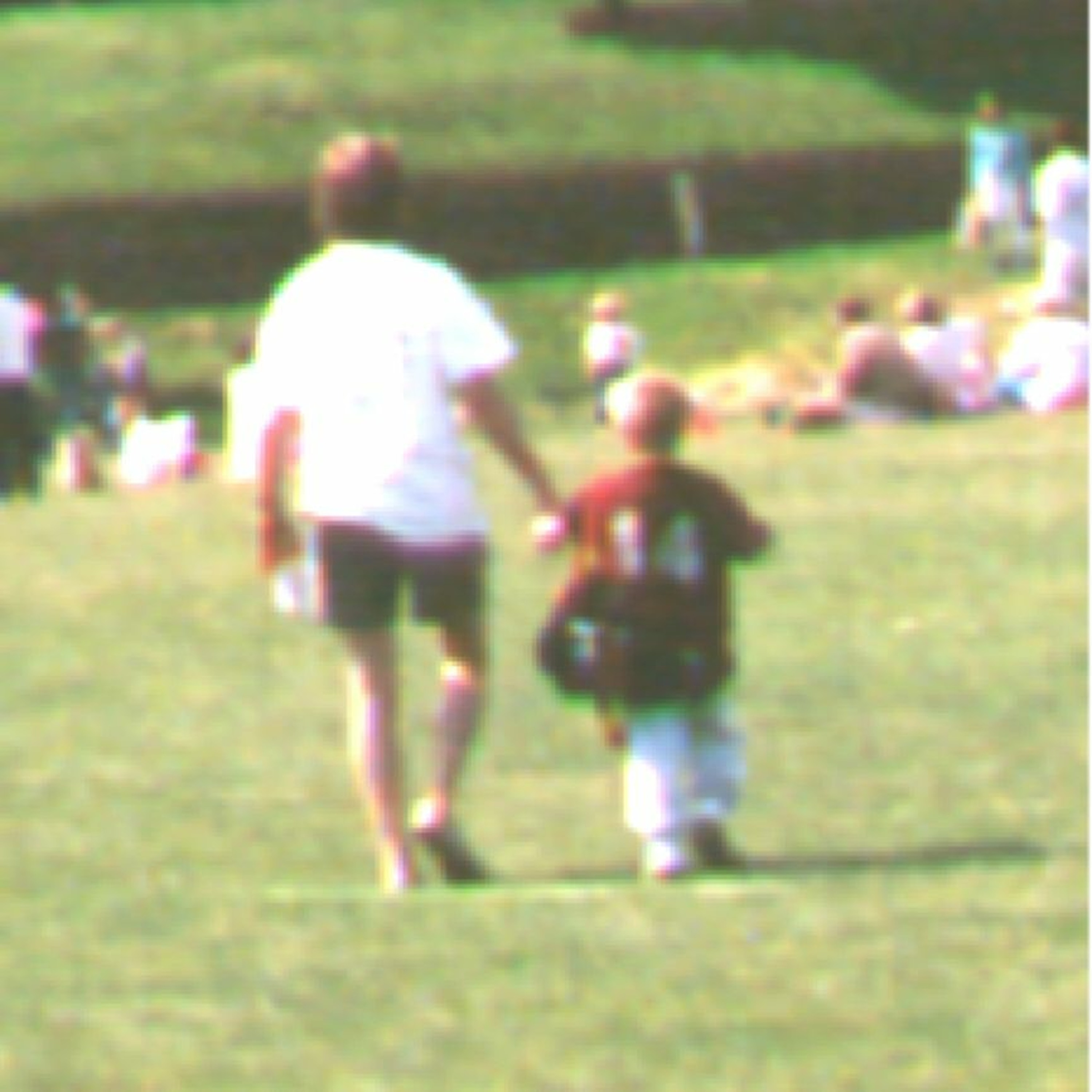 MY FATHERS SON
