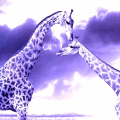 Safari  (Prod. Yondo)