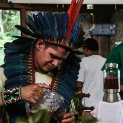Elves Do Juruá - Nas Águas Sagradas
