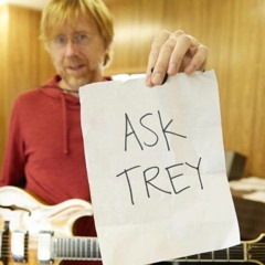 Q2: What made you decide to bring back Koa 1 originally in 2015?