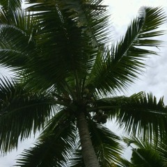 Comeandseeme-acash1711