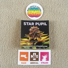 Episode 27 ft Mass Medical Strains