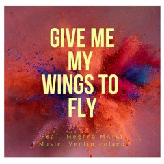 Give Me My Wings To Fly