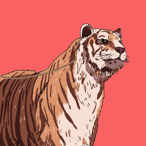 WILD