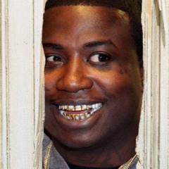 Gucci Mane - I Get The Bag feat. Migos ( flip)