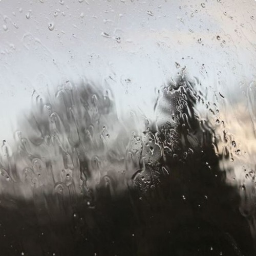 Thumbnail Friday Rain