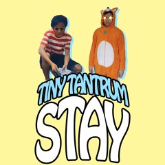 Post Malone - Stay (Tiny Tantrum Cover)