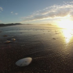 Benny Rebel NZ - Let The Smoke In