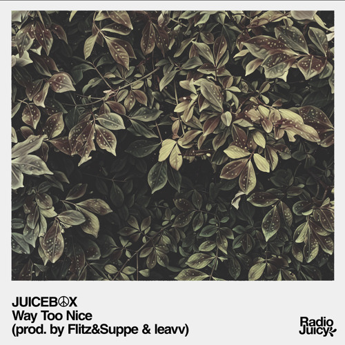 JUICEB☮X - Way Too Nice(prod. by Flitz&Suppe x leavv)