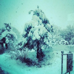 GONDOLVR$ - SNOWFALL