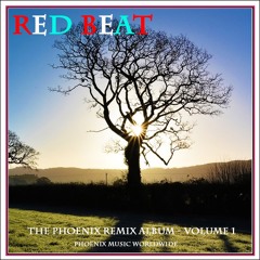 RED BEAT - This Goodbye Could Last Forever - PHOENlX - REMlX in Dub  - @2018