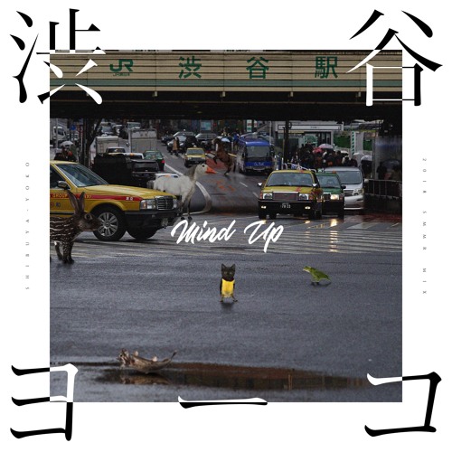渋谷ヨーコ / Mind Up