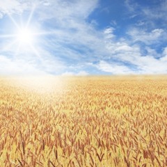 ビールをイメージした曲