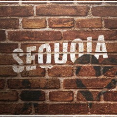 SEQUOIA - BROTHER / СЕКВОЯ - БРАТИШКА