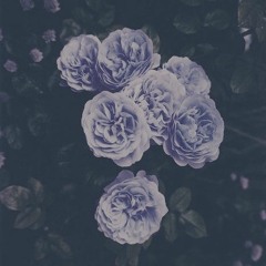 [NUMB] SELF X PAVOR NOCTURNUS (Prod.AIRAVATA)