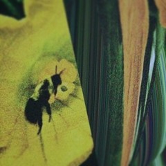 A¢heron - Solace In A Dream (Ft. Slylo)