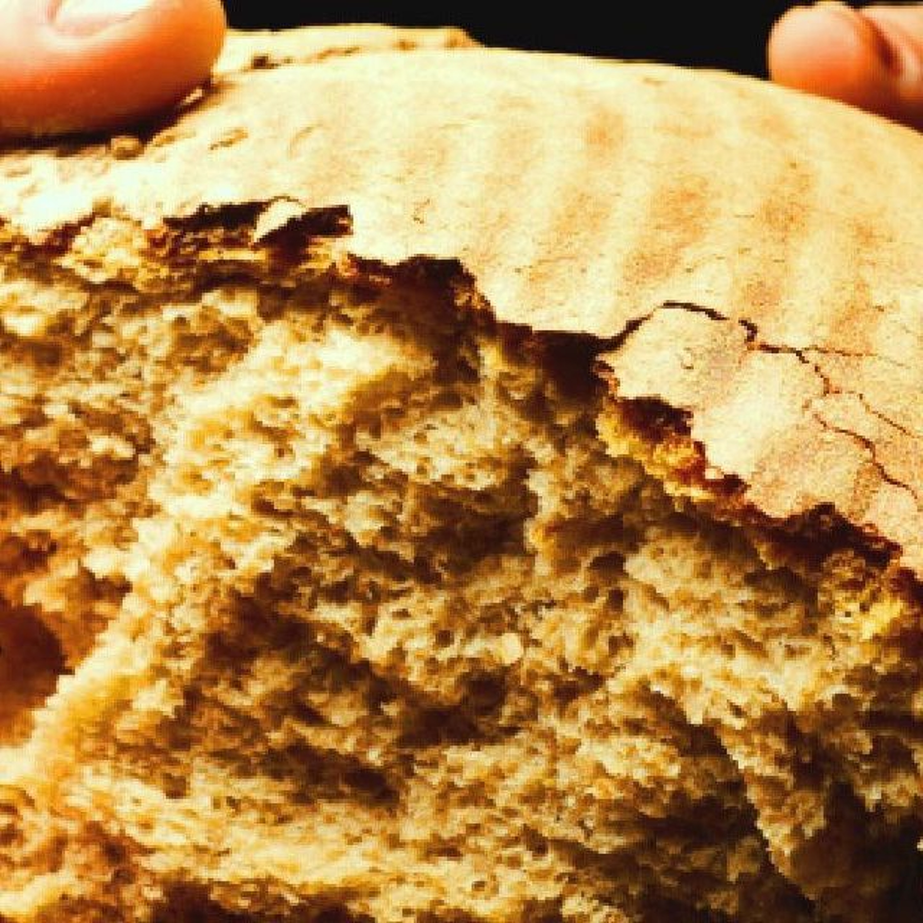 Words, Nevertheless: Sermons and Thoughts