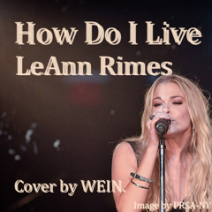 LeAnn Rimes - How Do I Live ( Cover By WEIN. ) ( Sing2Piano Sing2Guitar )