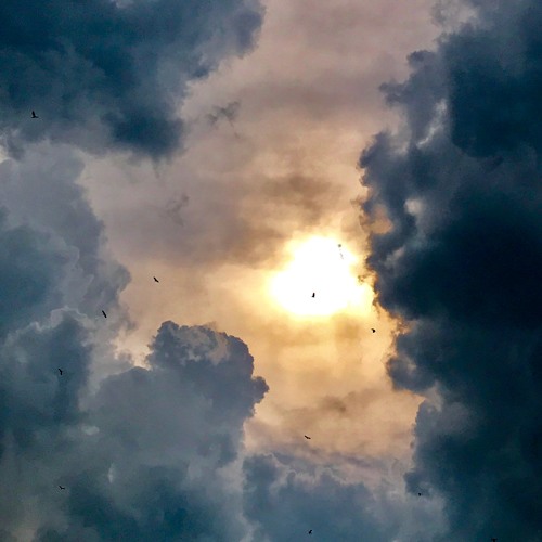 At The Edge Of Darkness X