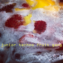 Junior Techno Fruit Gang (Banging New Skool Techno and Acid Mix!)