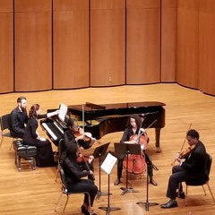 String Quintet In C Major, D. 956 Mvmt. I Allegro Ma Non Troppo - Franz Schubert