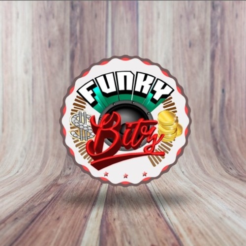 Funkybitz - Arrive back ( Original mix)