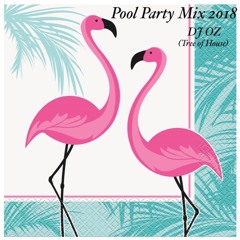 Pool Party Mix 2018.MP3