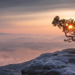 Overlook