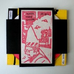 2009 - Schizophrenic Soundsystem - Spasmodic