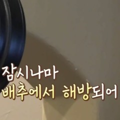 후레시팡과 커피우유